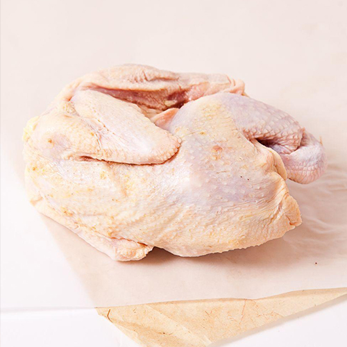 Chinese court yellow chicken wholesale